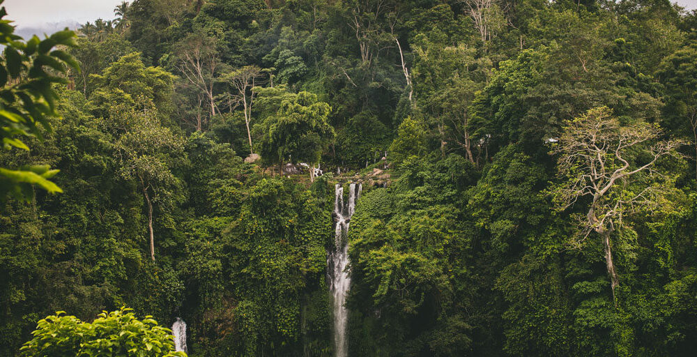 Air Terjun Sekumpul: Surga Tersembunyi di Bali Utara