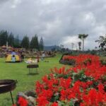 Liburan Tenang di Anjungan Wanagiri dan Danau Buyan Bali
