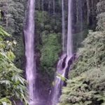 Air Terjun Sekumpul Buleleng